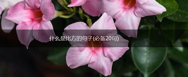 什么是比方的句子(必备20句),第1张