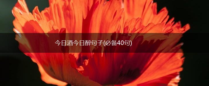 今日酒今日醉句子(必备40句),第1张