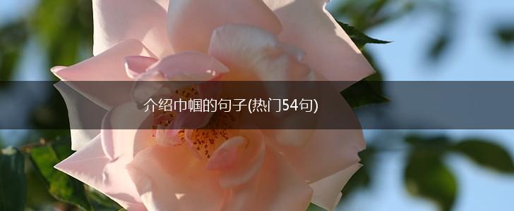 介绍巾帼的句子(热门54句),第1张