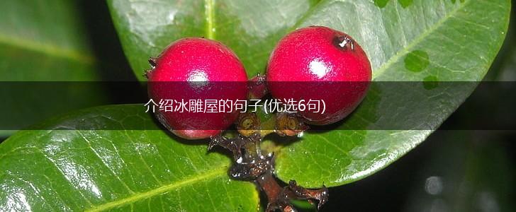 介绍冰雕屋的句子(优选6句),第1张