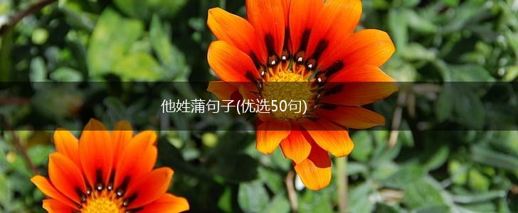 他姓蒲句子(优选50句),第1张