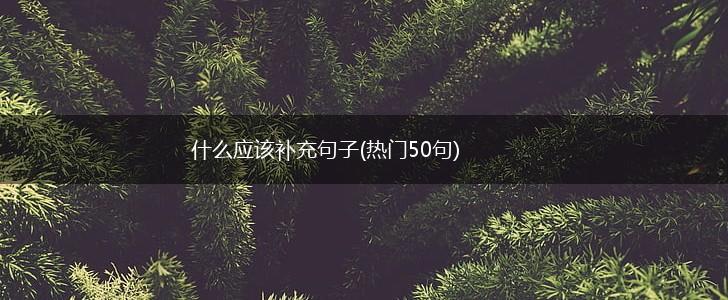 什么应该补充句子(热门50句),第1张