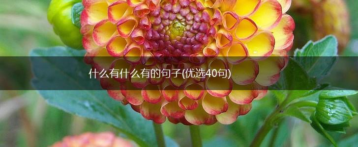 什么有什么有的句子(优选40句),第1张