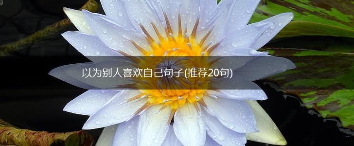以为别人喜欢自己句子(推荐20句),第1张
