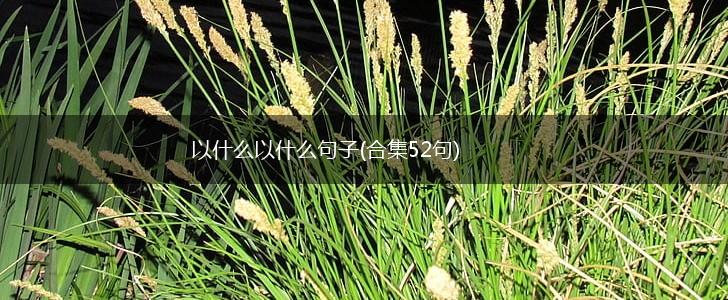 以什么以什么句子(合集52句),第1张