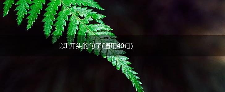 以I 开头的句子(通用40句),第1张