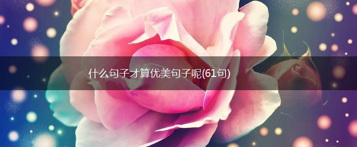 什么句子才算优美句子呢(61句),第1张