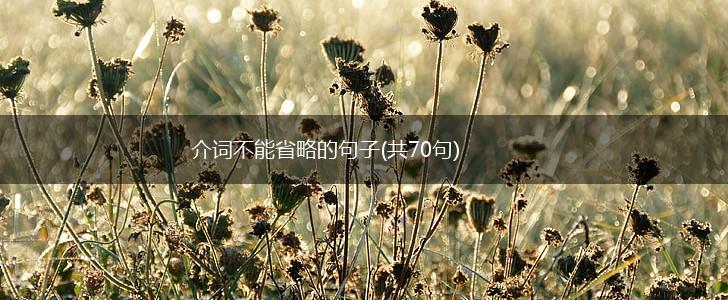 介词不能省略的句子(共70句),第1张