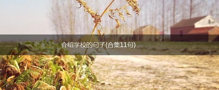 介绍学校的句子(合集11句),第1张