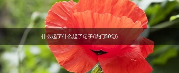 什么起了什么起了句子(热门50句),第1张