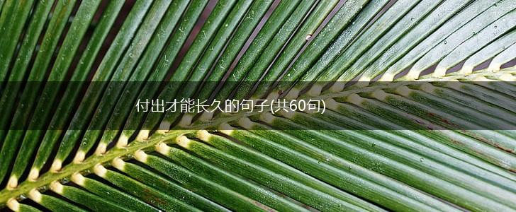 付出才能长久的句子(共60句),第1张