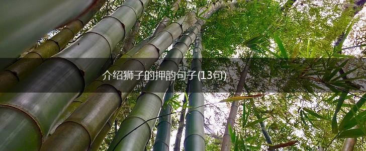 介绍狮子的押韵句子(13句),第1张