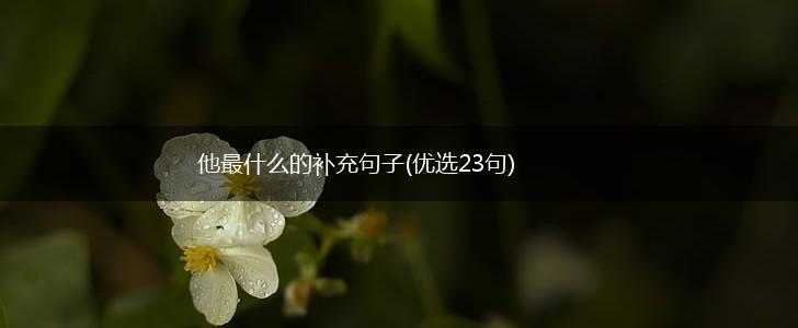 他最什么的补充句子(优选23句),第1张