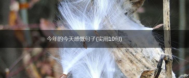 今年的今天感慨句子(实用10句),第1张
