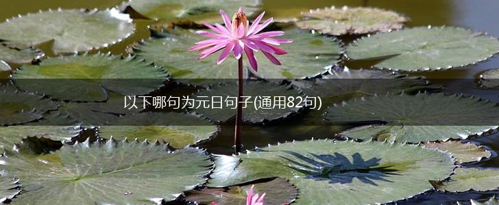 以下哪句为元日句子(通用82句),第1张