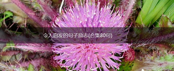 令人启发的句子励志(合集80句),第1张