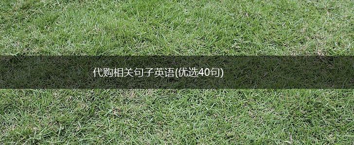代购相关句子英语(优选40句),第1张