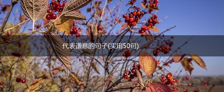 代表谦意的句子(实用50句),第1张