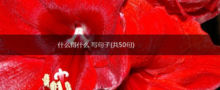 什么得什么 写句子(共50句),第1张 什么得什么 写句子(共50句),第1张