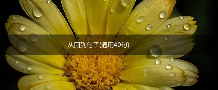 从回到句子(通用40句),第1张
