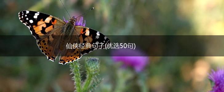 仙侠经典句子(优选50句),第1张