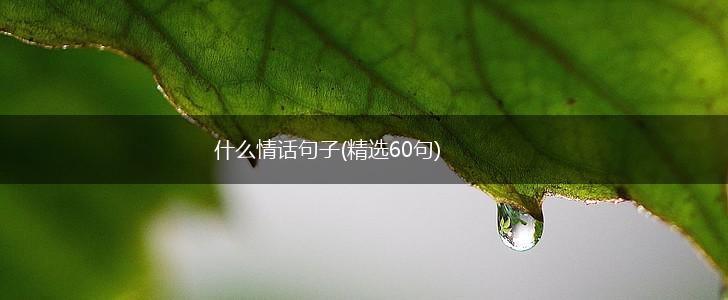 什么情话句子(精选60句),第1张 什么情话句子(精选60句),第1张
