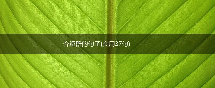 介绍群的句子(实用37句),第1张
