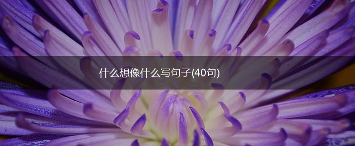 什么想像什么写句子(40句),第1张 什么想像什么写句子(40句),第1张