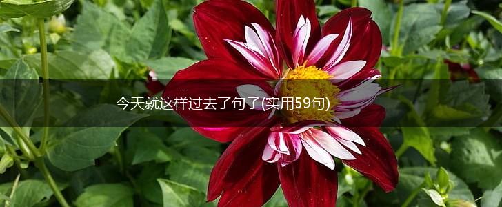 今天就这样过去了句子(实用59句),第1张