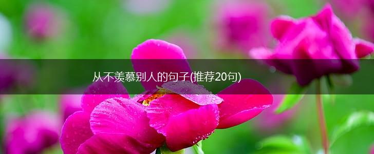 从不羡慕别人的句子(推荐20句),第1张