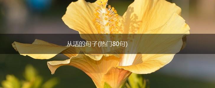 从活的句子(热门80句),第1张
