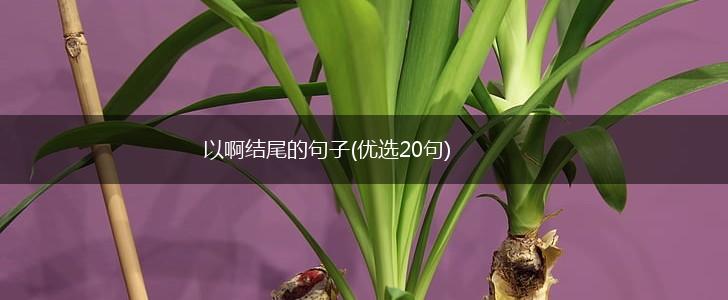 以啊结尾的句子(优选20句),第1张