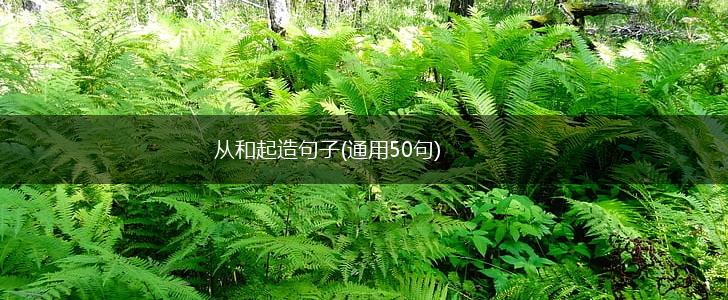 从和起造句子(通用50句),第1张
