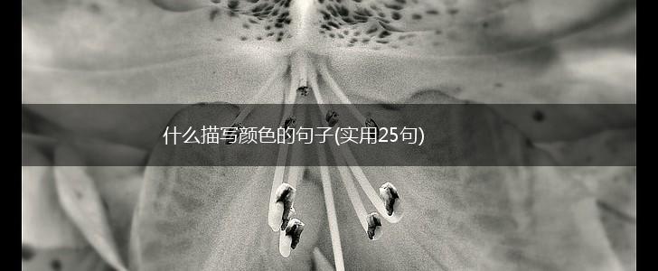 什么描写颜色的句子(实用25句),第1张