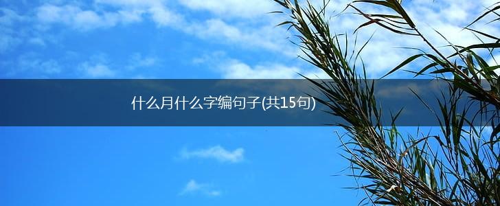 什么月什么字编句子(共15句),第1张