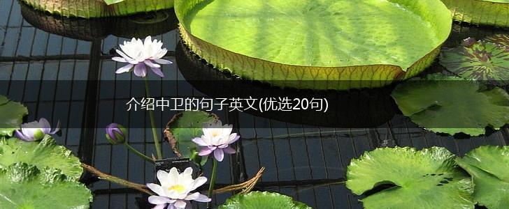 介绍中卫的句子英文(优选20句),第1张
