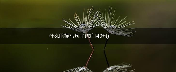 什么的描写句子(热门40句),第1张
