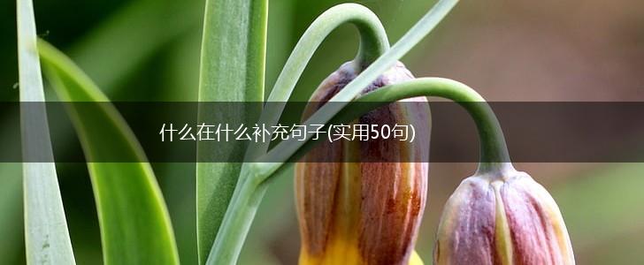 什么在什么补充句子(实用50句),第1张