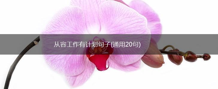 从容工作有计划句子(通用20句),第1张