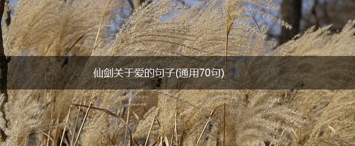 仙剑关于爱的句子(通用70句),第1张
