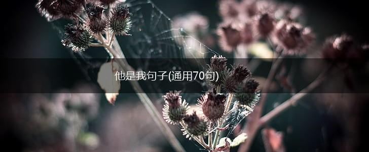 他是我句子(通用70句),第1张