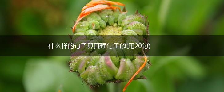 什么样的句子算真理句子(实用20句),第1张
