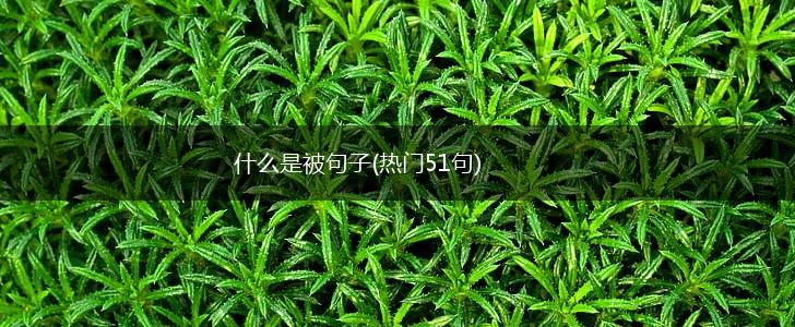 什么是被句子(热门51句),第1张