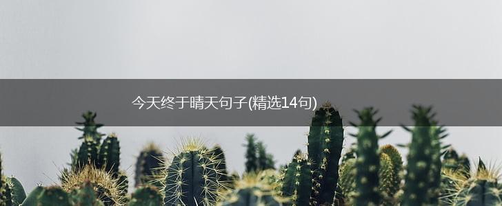 今天终于晴天句子(精选14句),第1张