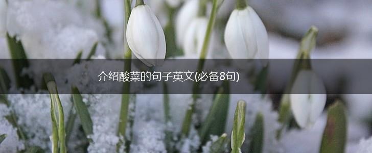 介绍酸菜的句子英文(必备8句),第1张 介绍酸菜的句子英文(必备8句),第1张