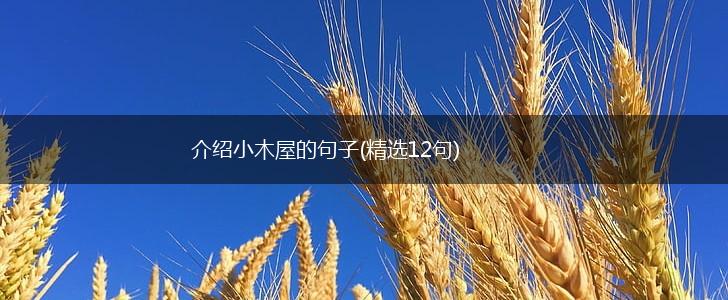 介绍小木屋的句子(精选12句),第1张