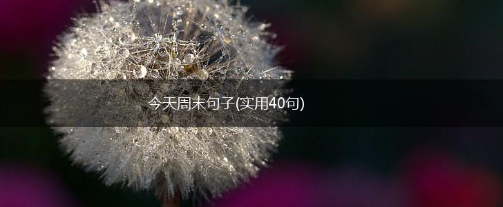 今天周末句子(实用40句),第1张
