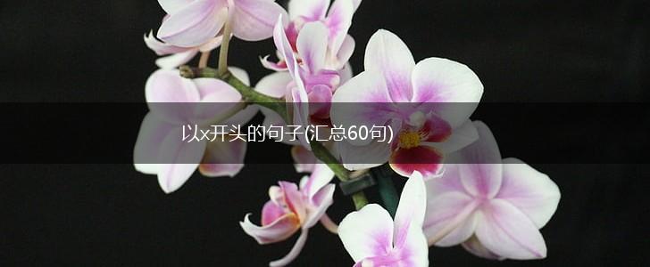 以x开头的句子(汇总60句),第1张