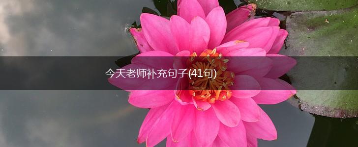 今天老师补充句子(41句),第1张