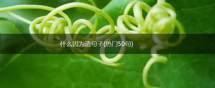 什么因为造句子(热门50句),第1张 什么因为造句子(热门50句),第1张